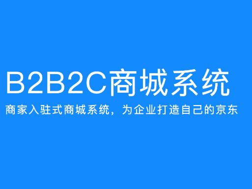 电商系统定制开发